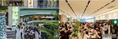 “揾Shack至叻”的广州街坊，Shake Shack真的来了！